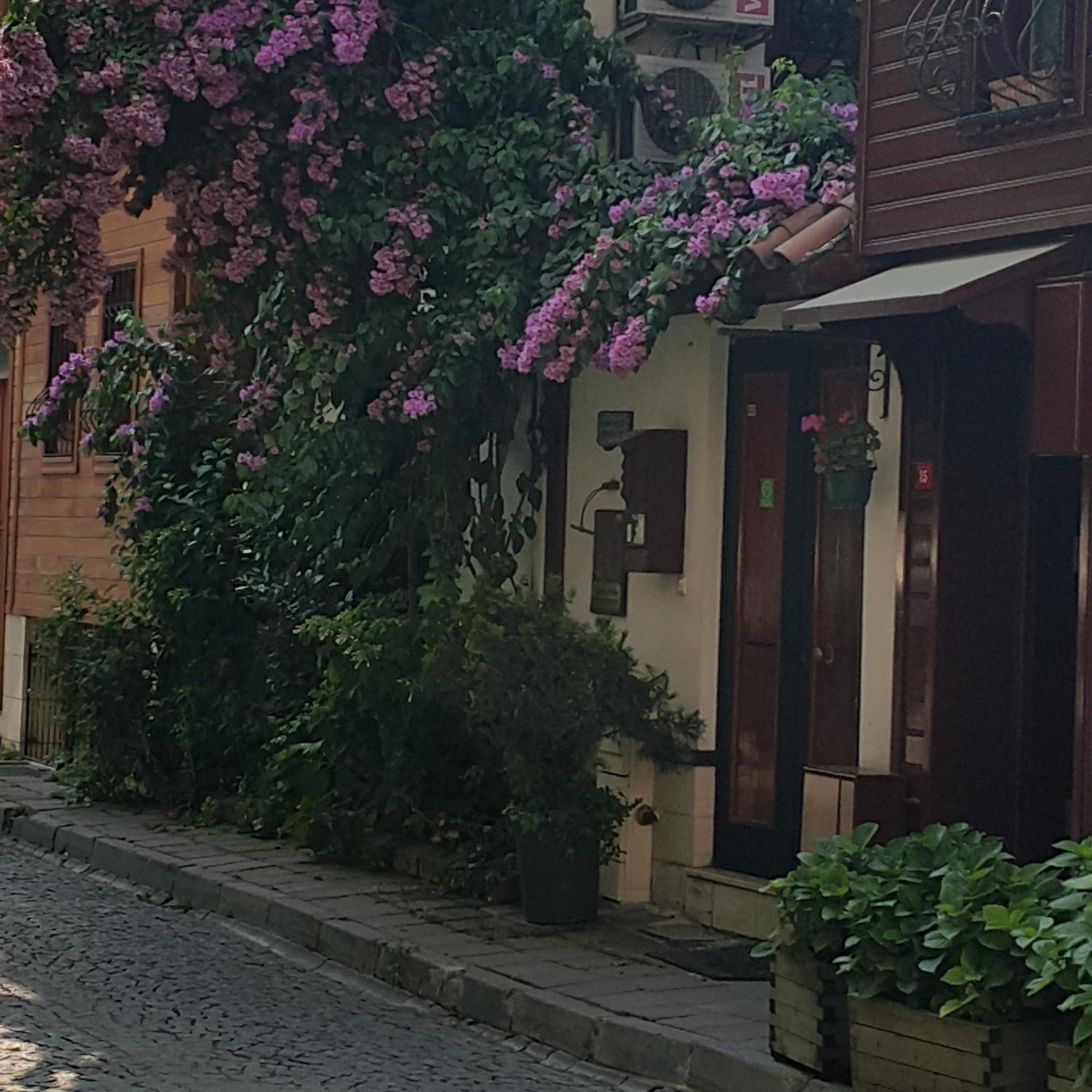 Villa Sphendone Suites Istanbul — Photos 2